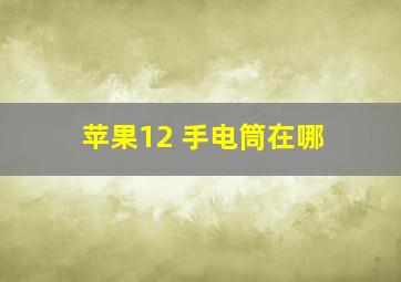 苹果12 手电筒在哪